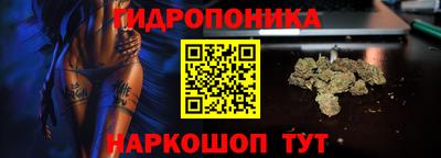 скорость Канаш