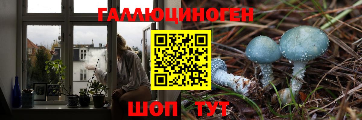 Магнитогорск  Галлюциногенные грибы GOLDEN TEACHER  Вход с VPN  Галлюциногенные грибы прущие грибы 